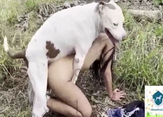 Outdoor dog fuck with a leggy Latina girl