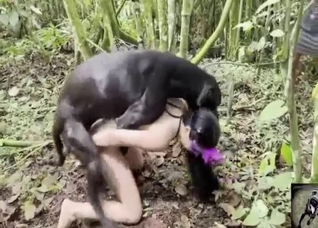 True zoo XXX showing a blonde sucking dick