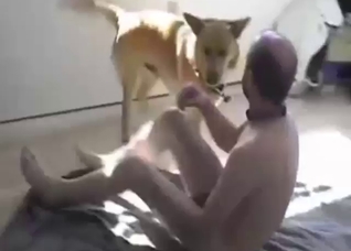 Dude has his way with his slutty dog on a bed