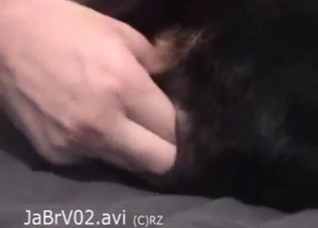 Erotic cunnilingus and hard fucking from a guy