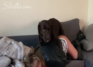 Hot lady gets to take this beast's dick deep