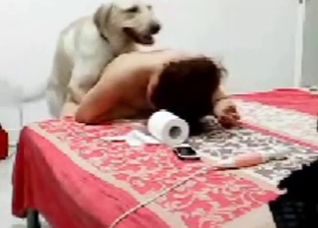 Cute zoophile brunette gets licked thoroughly
