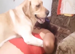 Zoo porn showing a meaty ass gal fucking