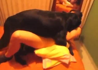 Hotel room fuck with a brunette MILF hoe