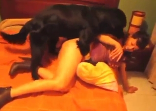 Hotel room fuck with a brunette MILF hoe