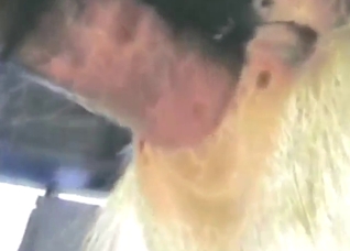 Sheep fucking scene with a guy who gets off