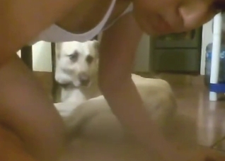 Horny Latino twink doing a lot with a sexy dog