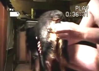 Dog's asshole is going to be HIS playing field