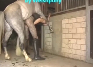 Horse porn movie with a bunch of savage thrusts