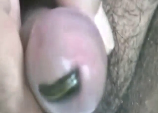 Leech porn movie with a sexy creature sliding in