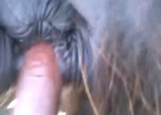 Hot guy fucking a mare from behind, even deeper