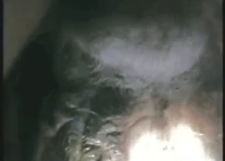 Cow's tight ass and loose pussy beg for hard sex