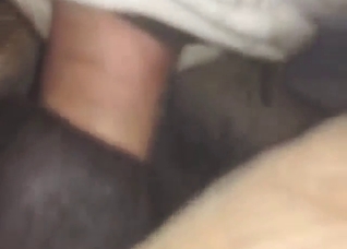 Looks like a shart, but this stallion releases cum