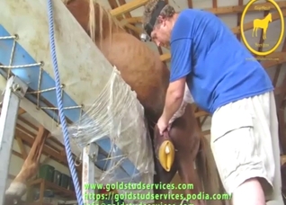 Dude is going to jerk off a stallion pretty hard