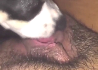 Cunnilingus and rimjob from a horny beast