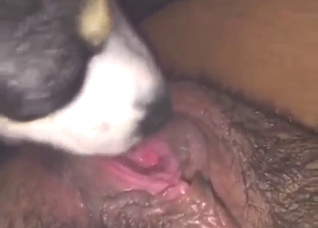 Cunnilingus and rimjob from a horny beast