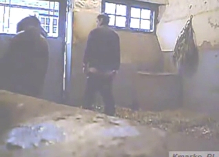 Good-looking guy is happy to let beast bang him