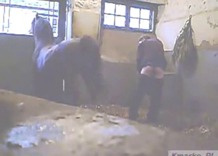 Good-looking guy is happy to let beast bang him