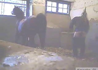 Good-looking guy is happy to let beast bang him