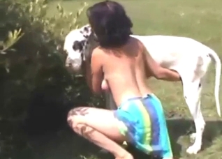 White dog's cock is going to keep the bitch happy