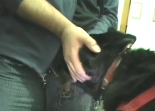 Dude holds dog's head until he nuts in that throat
