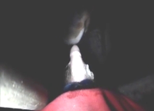 Bull sucks dick like a cheap whore, it's great