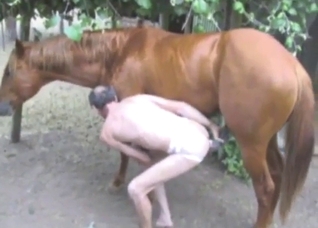 Thin dude is going to get rammed by a horse