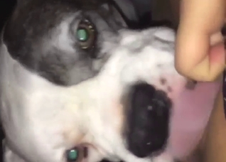 Dude is going to taste this clean-shaved pussy