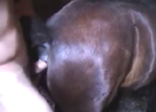 Dude with a short dick fucks a dog's asshole