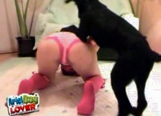 Small young doggy is licking so hot