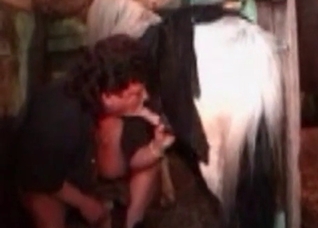 Giant black cock of a stallion