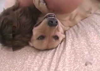Amazing sex with a small hound