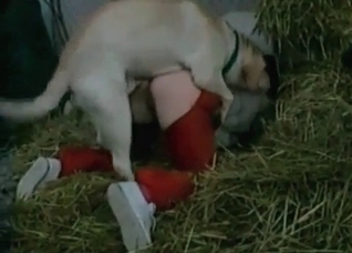 Sweet action with a nice doggy