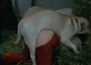 Sweet action with a nice doggy