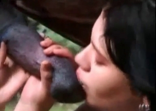 Brunette is blowing a stallion cock