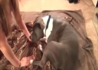 Filthy curvy slut and her doggy