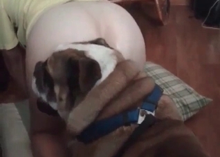 Redhead is blowing red dick of a dog