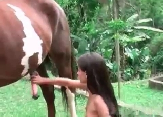 Hardcore blowjob for a horse