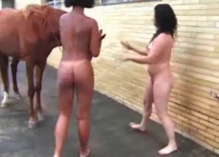 Nasty tanned slut is enjoying zoo sex