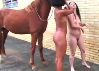 Nasty tanned slut is enjoying zoo sex