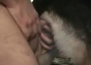 Dog is being drilled so freaking hard