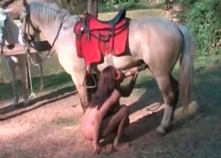 Stunning stallion is getting a head