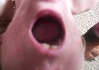 Filthy zoo bestiality in close up