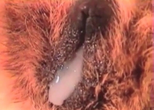 Cute hound is licking her juicy snatch