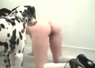 Filthy animal porn action in close-up