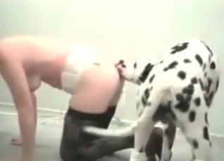 Dalmatian and a hot zoophile slut