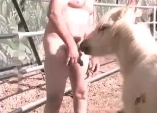 Awesome animal anal sex in close-up