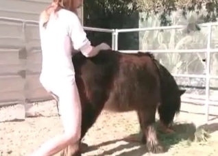 Awesome animal anal sex in close-up