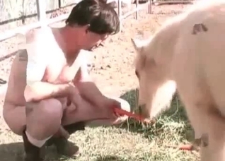 Awesome animal anal sex in close-up