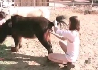 Awesome animal anal sex in close-up